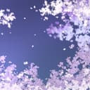 さくら
